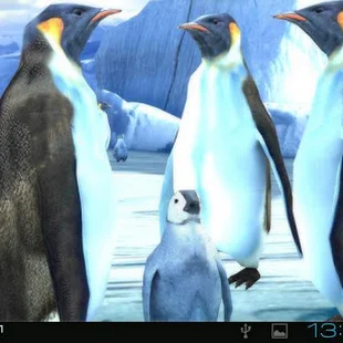 DOWNLOAD Penguins 3D Pro Live Wallpaper v1.3 Apk