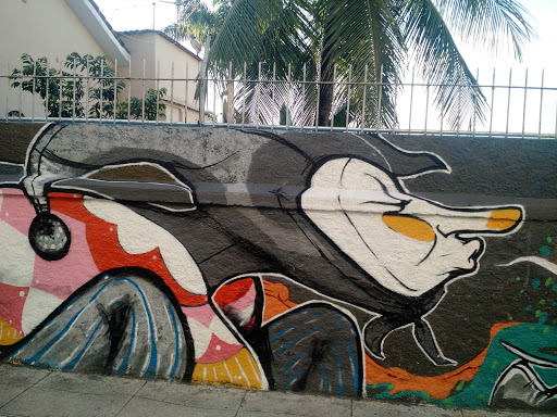 Grafite Coringa