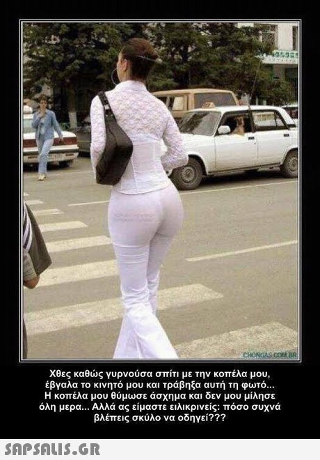 CHONGAS.COM BR ς καθώς γυρνούσα σπίτι με την κοπέλα μου, έβγαλα το κινητό μου και τράβηξα αυτή τη φωτό Η κοπέλα μου θύμωσε άσχημα και δεν μου μίλησε όλη μερα Αλλά ας είμαστε ειλικρινείς: πόσο συχνά βλέπεις σκύλο να οδηγεί??? 