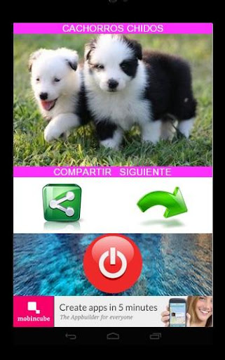 免費下載娛樂APP|CACHORROS-PERROS-PUPPIES app開箱文|APP開箱王