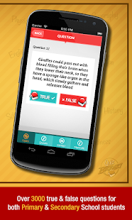 QuizBreak - Teaching Resource Screenshots 2