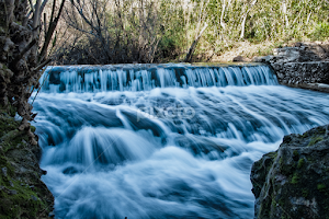 Contornos de vida by Miguel Pires -  
