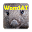 WomSAT (legacy) Download on Windows