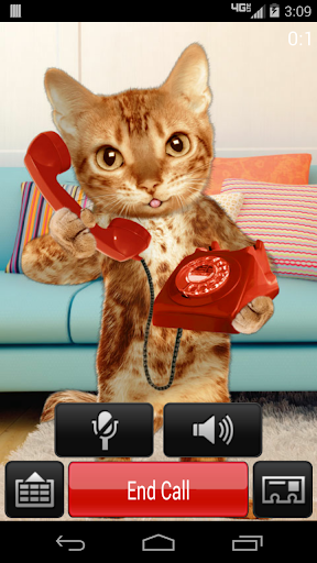 Cat Caller