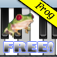 Frog Piano Free logo