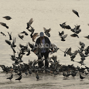 by Joaquim Martins Araujo - City,  Street & Park Street Scenes