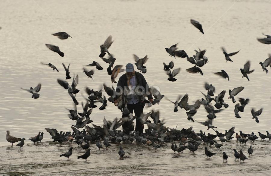 by Joaquim Martins Araujo - City,  Street & Park Street Scenes