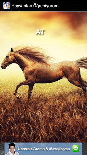 How to mod Hayvanları Öğreniyorum patch 1.0 apk for bluestacks