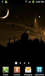 Taj Mahal Silhouette poster 4