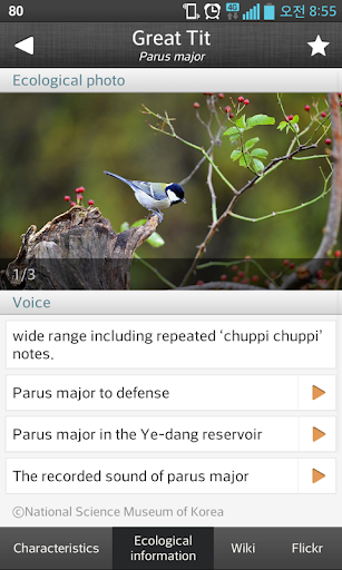 免費下載教育APP|Birds of Korea Lite app開箱文|APP開箱王
