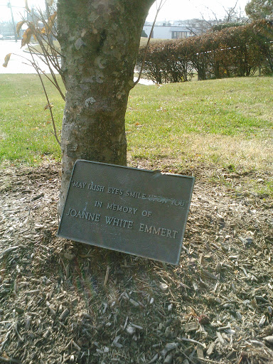 Emmert Memorial Tree