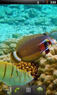 How to install Tropical Fish Live Wallpaper 3.6.0.0 apk for laptop