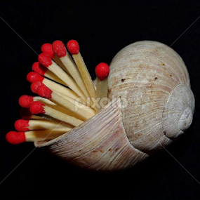 there did not fire ... by Joseph Muller - Artistic Objects Other Objects