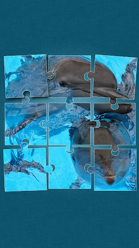 Dolphins Jigsaw Puzzle