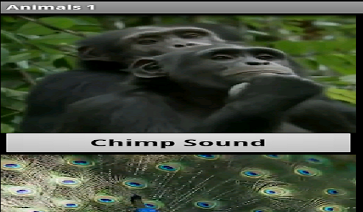 How to mod Animal Sounds App 2.0 unlimited apk for laptop