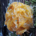 Witch's butter