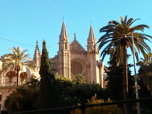 Roseton De La Catedral De Palma