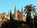 Roseton De La Catedral De Palma