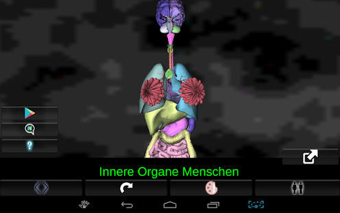 Inneren Organe 3D (Anatomie) - screenshot thumbnail