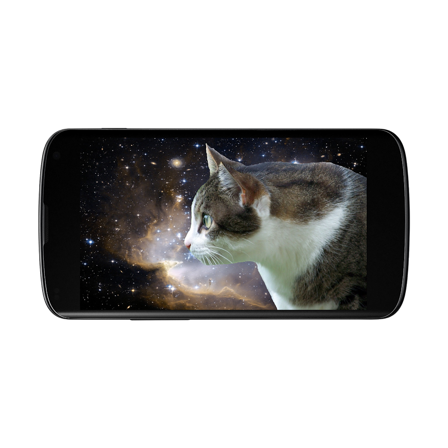 Laser Cat Android Apps on Google Play