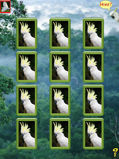 Birdy Brain Screenshots 4