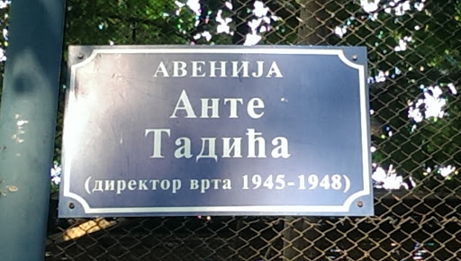 Avenija Ante Tadica