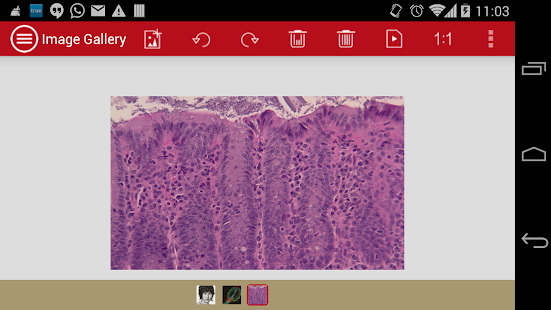 mVision Screenshots 7