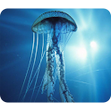 Beautiful Jellyfish Wallpaper logo