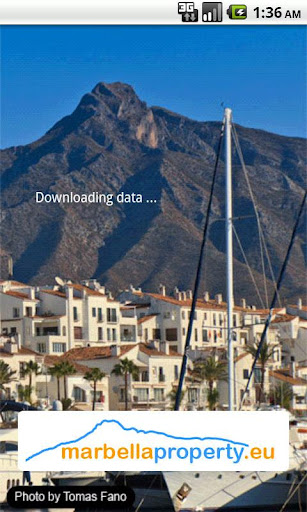 Marbella Property