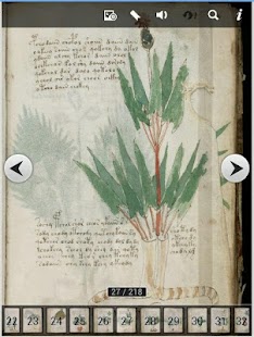 Codex Voynich