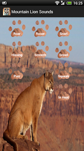 Free Download Mountain Lion Sounds APK