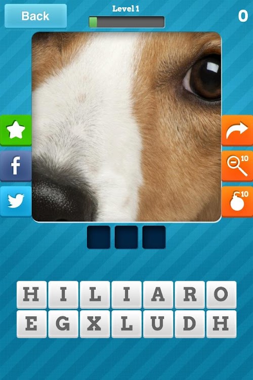 Android application Close Up Animals screenshort