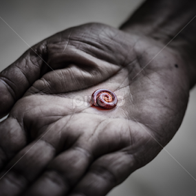 dont hurt me please! by Dinal Jay - Animals Insects & Spiders