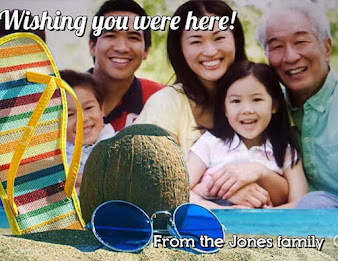 Camera ZOOM FX Summer Pack poster 2