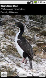 Funny bird names poster 2