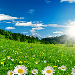 صور جميله للطبيعه الرهيبة 2015 for Android