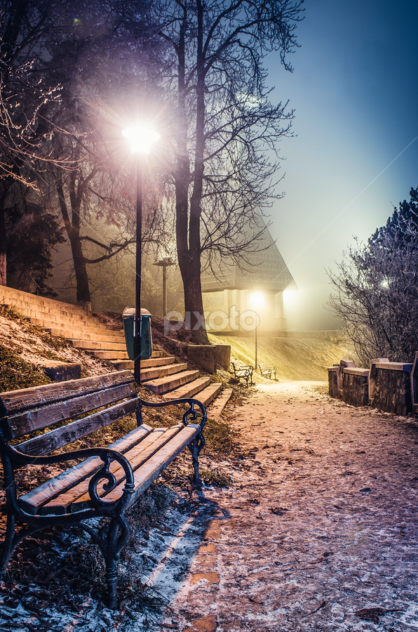 Winter's touch by Marius Neag - City,  Street & Park City Parks