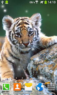 download Little Tiger Live Wallpaper free