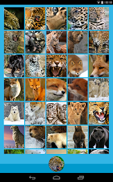 Animal Wallpapers poster 11