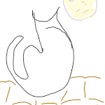 gatto
