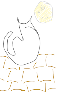 gatto