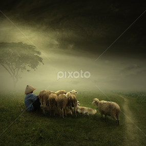 my assets by Eli Supriyatno - Digital Art People