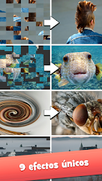 Eye Know: Quiz con imágenes poster 5