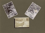 Leprozenkolonie Danaradja: vrouw met kleine kinderen en een paard