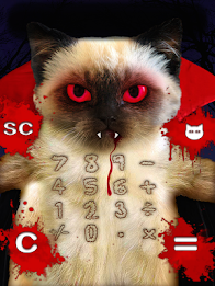 Kitten Calculator poster 17