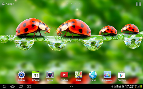 Macro Photos Live Wallpaper