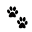 Animals Download on Windows