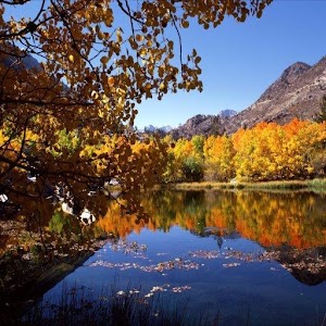 HD Wallpapers HTC Thunderbolt.apk 1.0.4