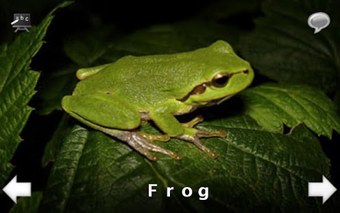 How to mod Animal Sounds and Spell HD lastet apk for laptop