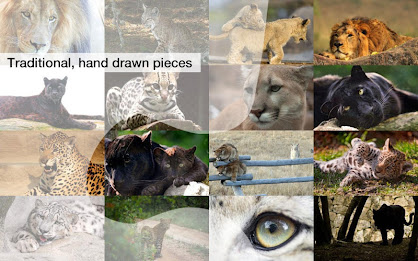 Big Cat Jigsaw Puzzles Demo poster 7